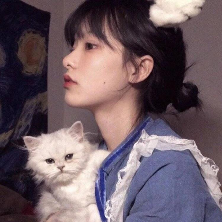 吉田俊司 - 辣舞影视网址在线观看21 - 小程序直播